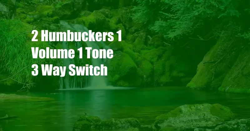 2 Humbuckers 1 Volume 1 Tone 3 Way Switch