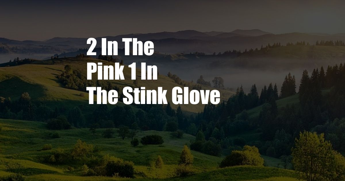 2 In The Pink 1 In The Stink Glove