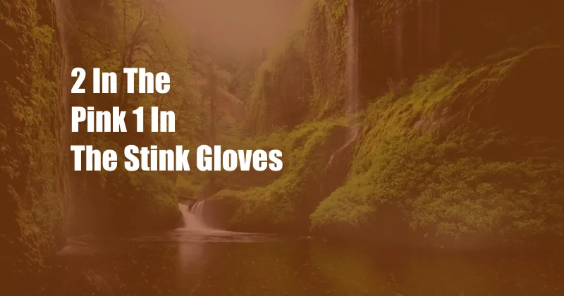 2 In The Pink 1 In The Stink Gloves