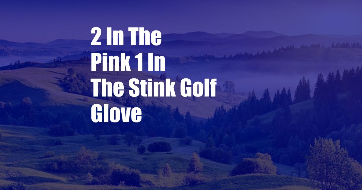 2 In The Pink 1 In The Stink Golf Glove