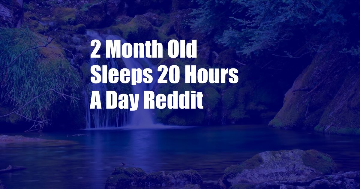 2 Month Old Sleeps 20 Hours A Day Reddit