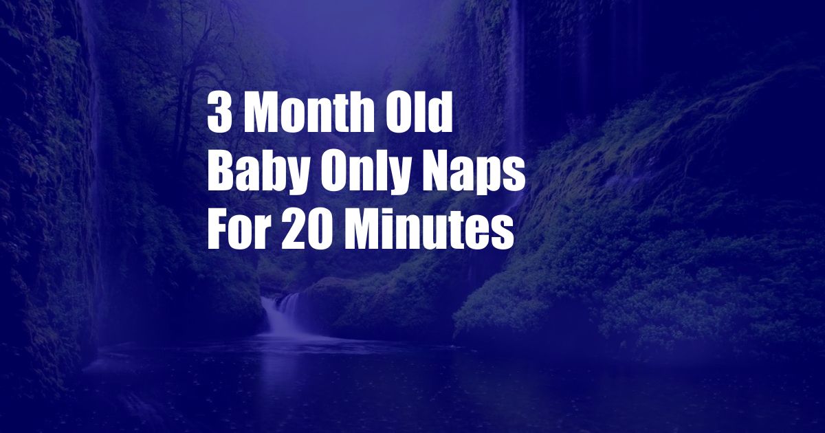 3 Month Old Baby Only Naps For 20 Minutes