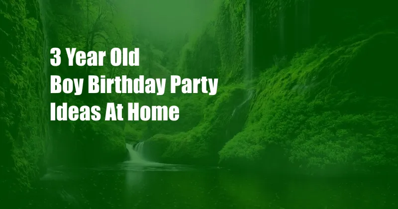 3 Year Old Boy Birthday Party Ideas At Home