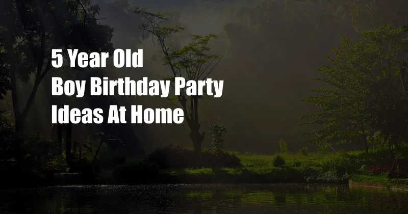 5 Year Old Boy Birthday Party Ideas At Home