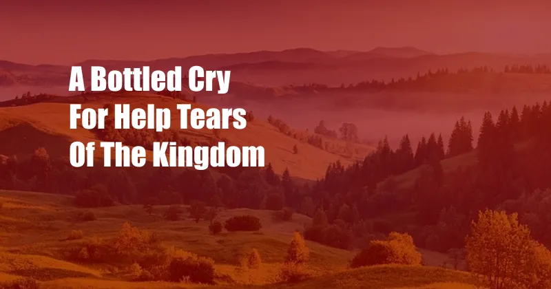 A Bottled Cry For Help Tears Of The Kingdom