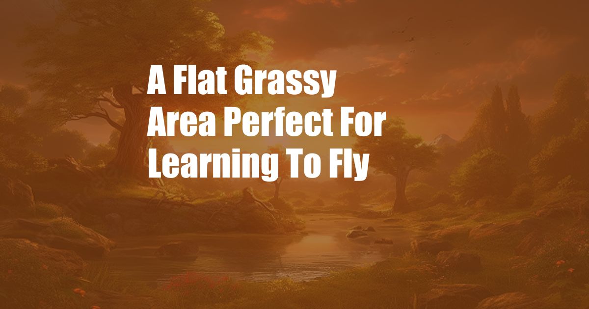 A Flat Grassy Area Perfect For Learning To Fly