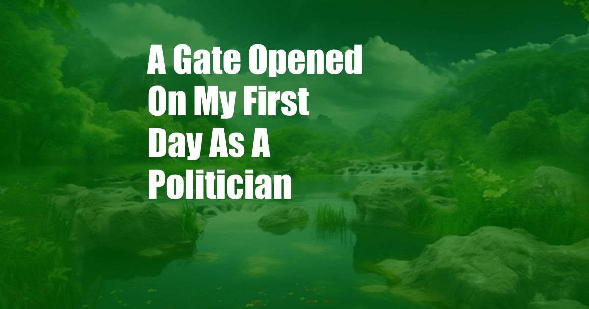 A Gate Opened On My First Day As A Politician