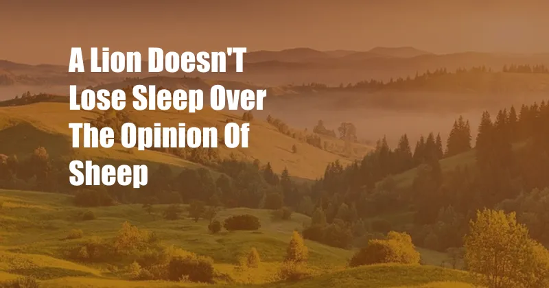 A Lion Doesn'T Lose Sleep Over The Opinion Of Sheep