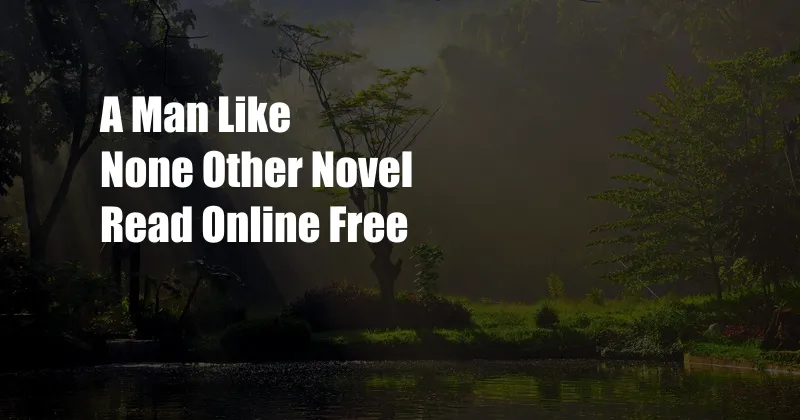 A Man Like None Other Novel Read Online Free