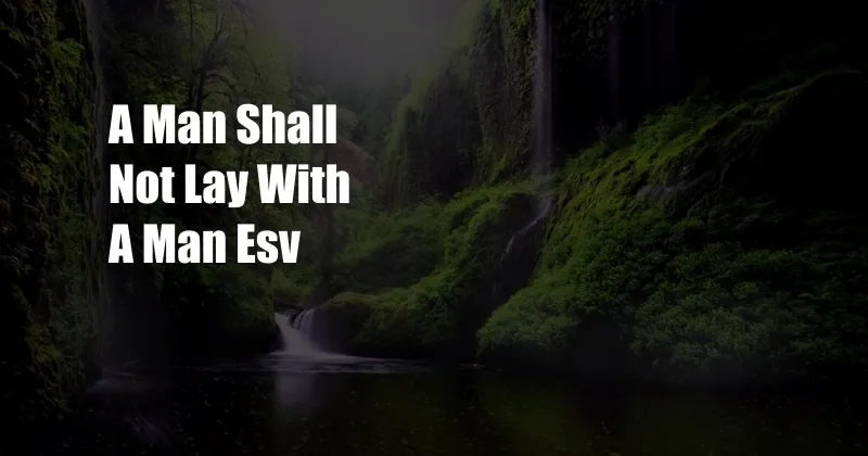 A Man Shall Not Lay With A Man Esv