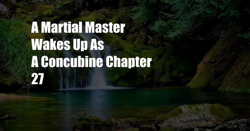 A Martial Master Wakes Up As A Concubine Chapter 27