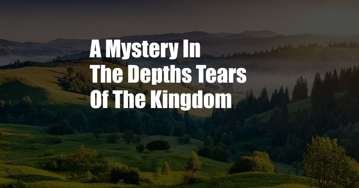 A Mystery In The Depths Tears Of The Kingdom