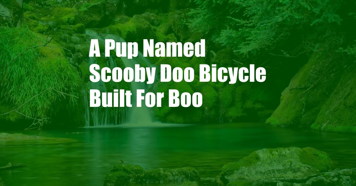 A Pup Named Scooby Doo Bicycle Built For Boo