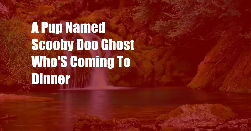 A Pup Named Scooby Doo Ghost Who'S Coming To Dinner