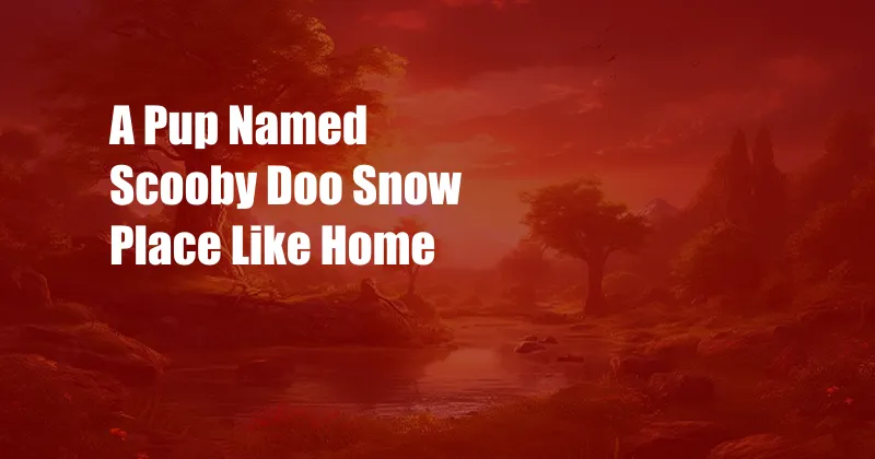 A Pup Named Scooby Doo Snow Place Like Home