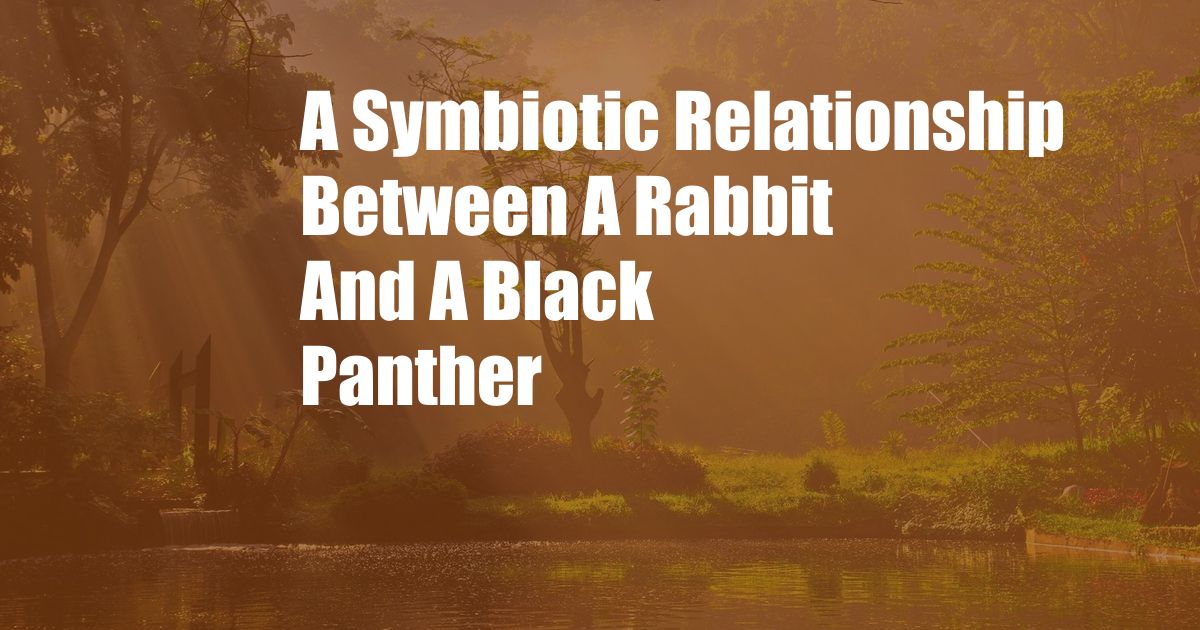 A Symbiotic Relationship Between A Rabbit And A Black Panther