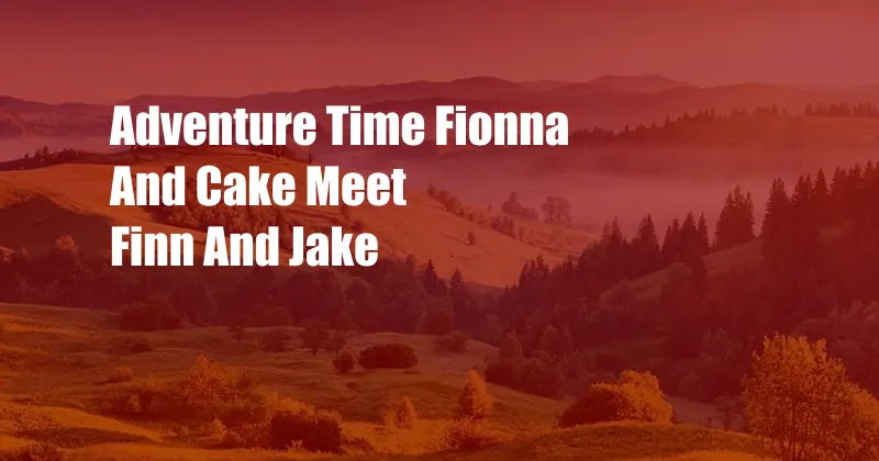 Adventure Time Fionna And Cake Meet Finn And Jake