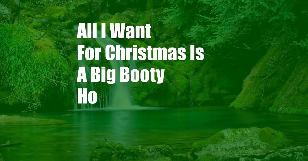 All I Want For Christmas Is A Big Booty Ho