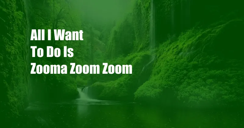 All I Want To Do Is Zooma Zoom Zoom