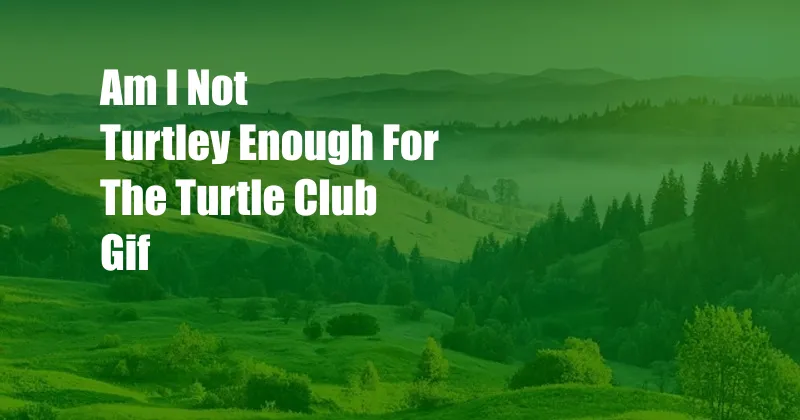 Am I Not Turtley Enough For The Turtle Club Gif