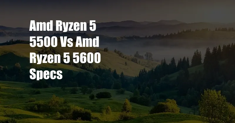 Amd Ryzen 5 5500 Vs Amd Ryzen 5 5600 Specs