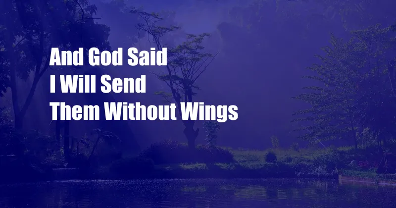 And God Said I Will Send Them Without Wings