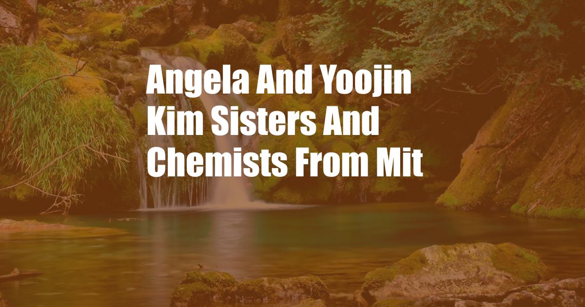 Angela And Yoojin Kim Sisters And Chemists From Mit