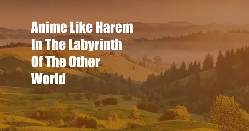 Anime Like Harem In The Labyrinth Of The Other World