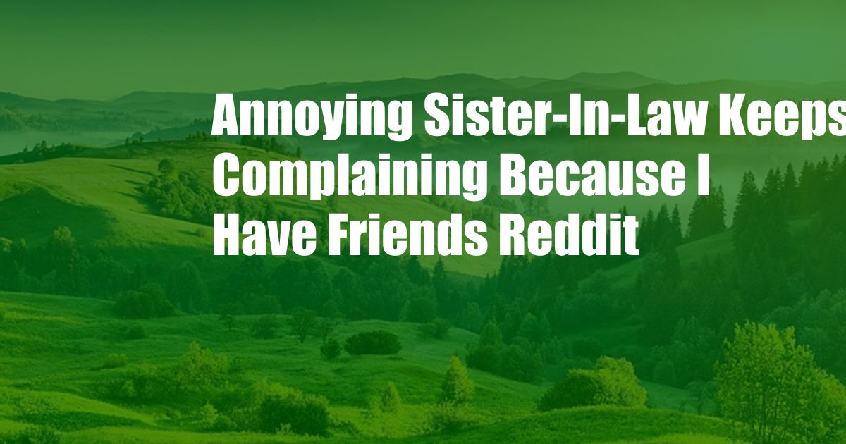 Annoying Sister-In-Law Keeps Complaining Because I Have Friends Reddit