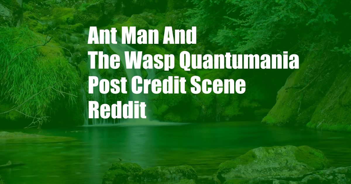 Ant Man And The Wasp Quantumania Post Credit Scene Reddit