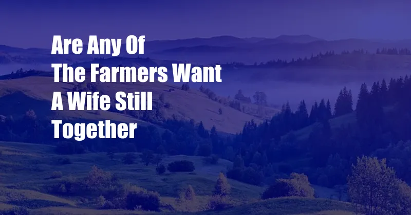 Are Any Of The Farmers Want A Wife Still Together