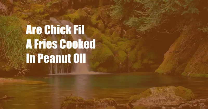 Are Chick Fil A Fries Cooked In Peanut Oil