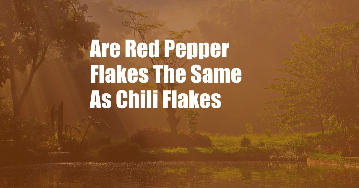 Are Red Pepper Flakes The Same As Chili Flakes