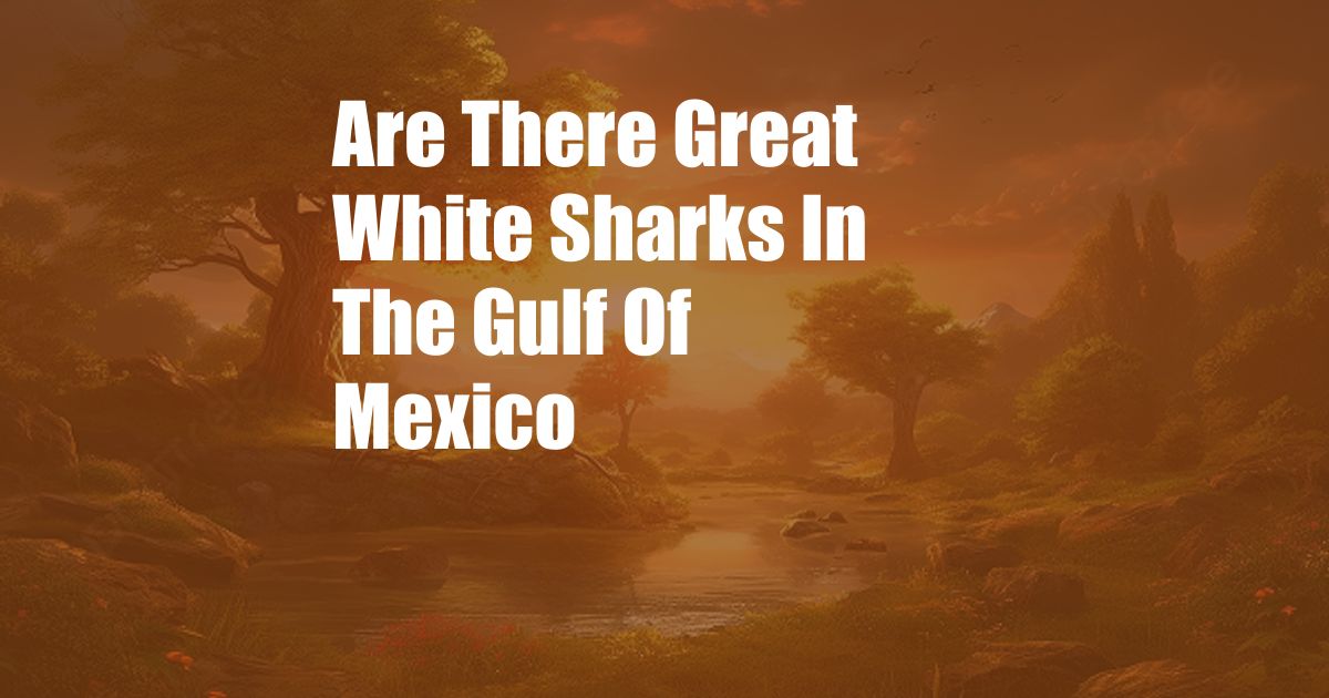 Are There Great White Sharks In The Gulf Of Mexico