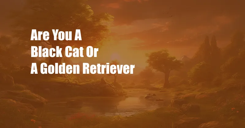 Are You A Black Cat Or A Golden Retriever