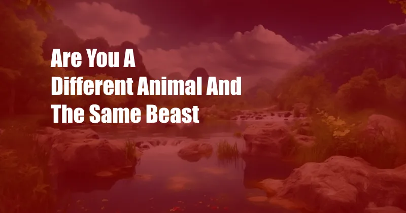 Are You A Different Animal And The Same Beast