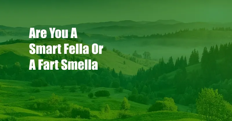 Are You A Smart Fella Or A Fart Smella