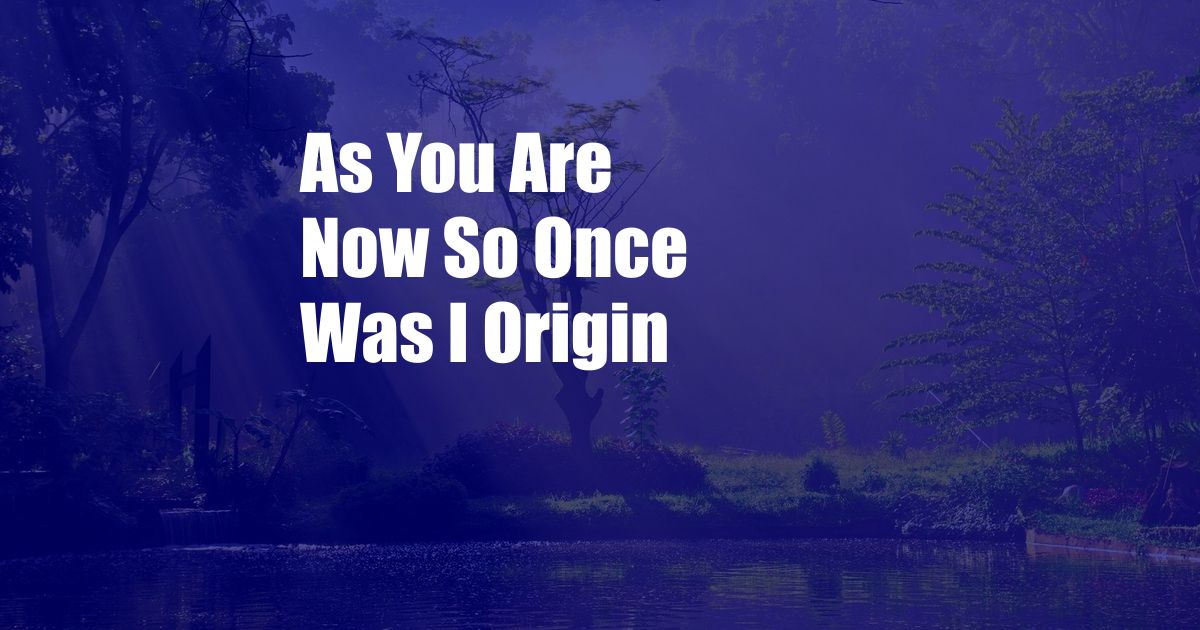 As You Are Now So Once Was I Origin