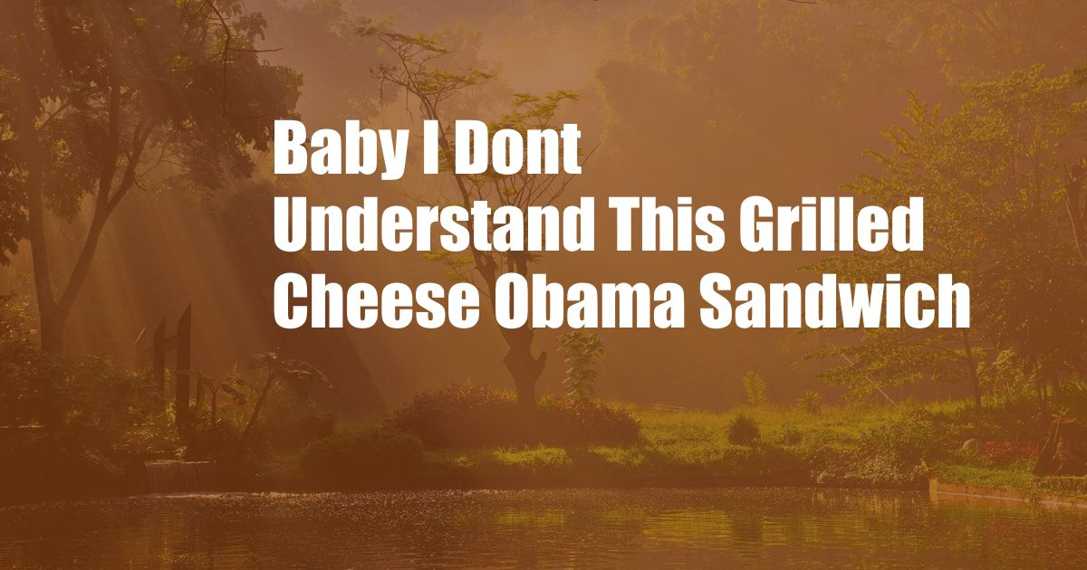 Baby I Dont Understand This Grilled Cheese Obama Sandwich