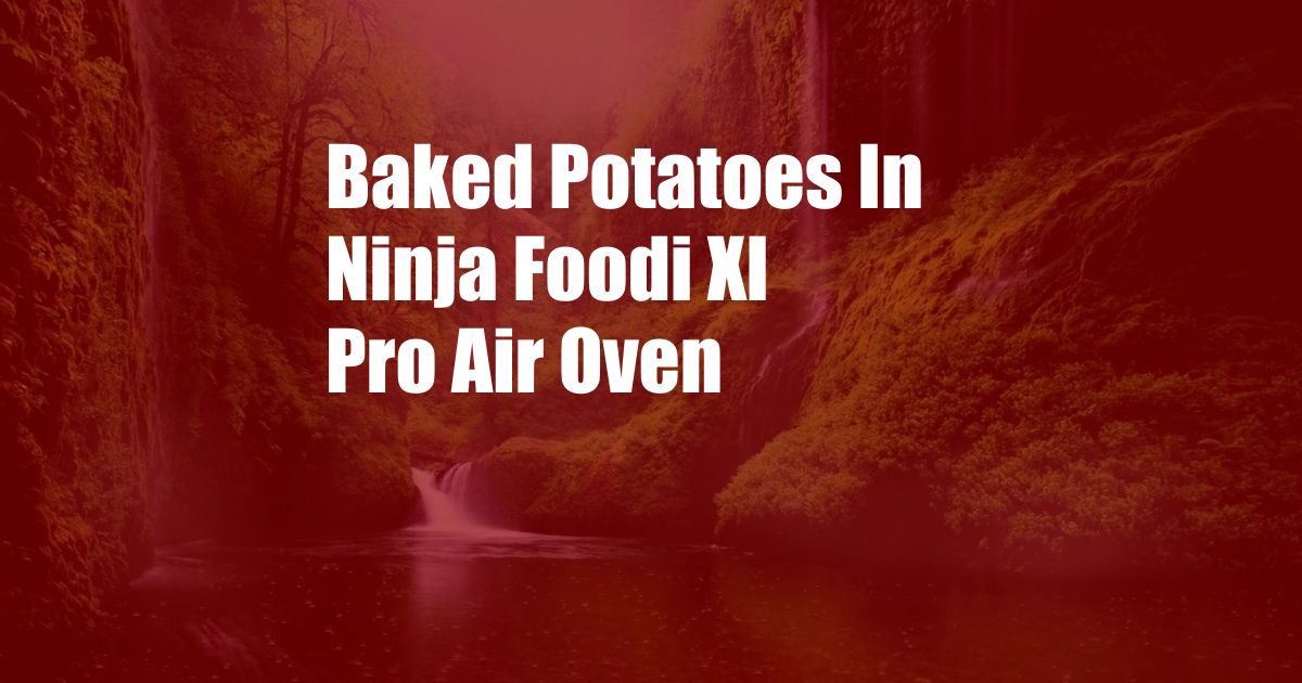 Baked Potatoes In Ninja Foodi Xl Pro Air Oven