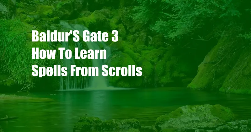 Baldur'S Gate 3 How To Learn Spells From Scrolls