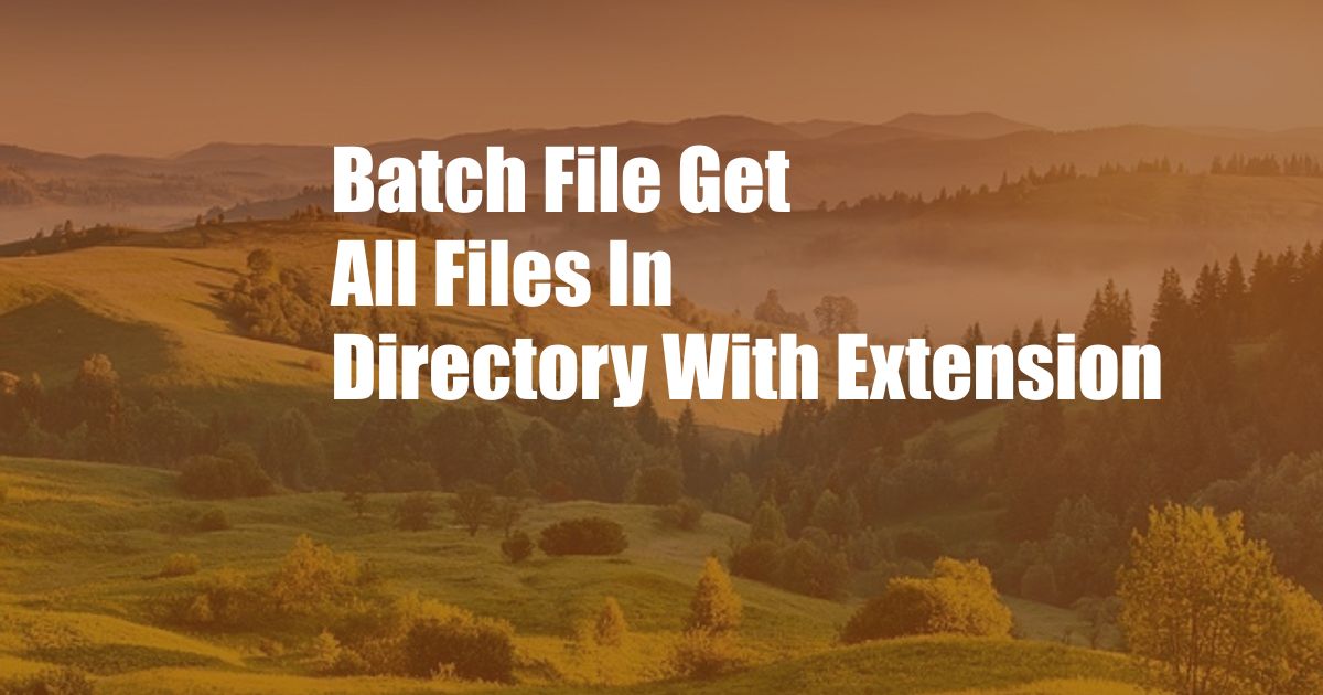 Batch File Get All Files In Directory With Extension