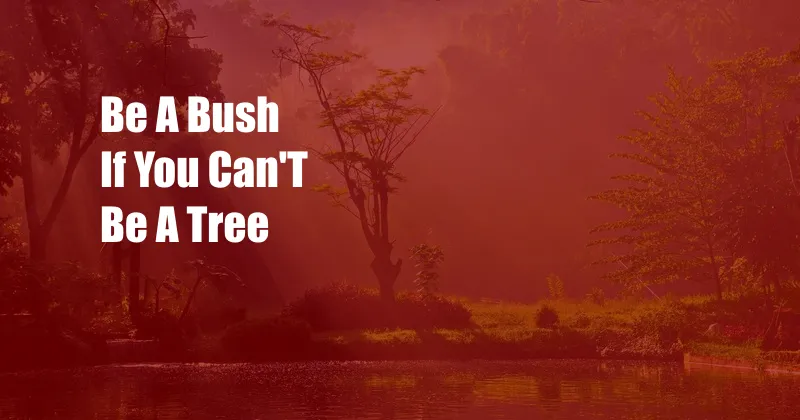 Be A Bush If You Can'T Be A Tree