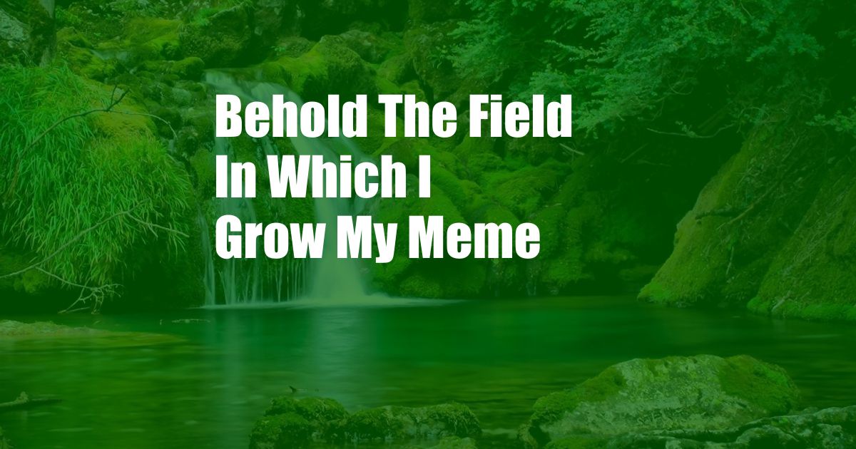 Behold The Field In Which I Grow My Meme