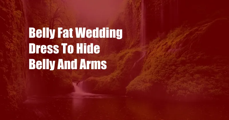 Belly Fat Wedding Dress To Hide Belly And Arms
