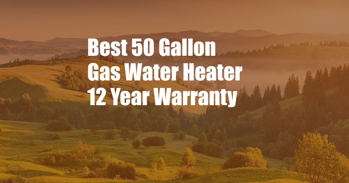 Best 50 Gallon Gas Water Heater 12 Year Warranty