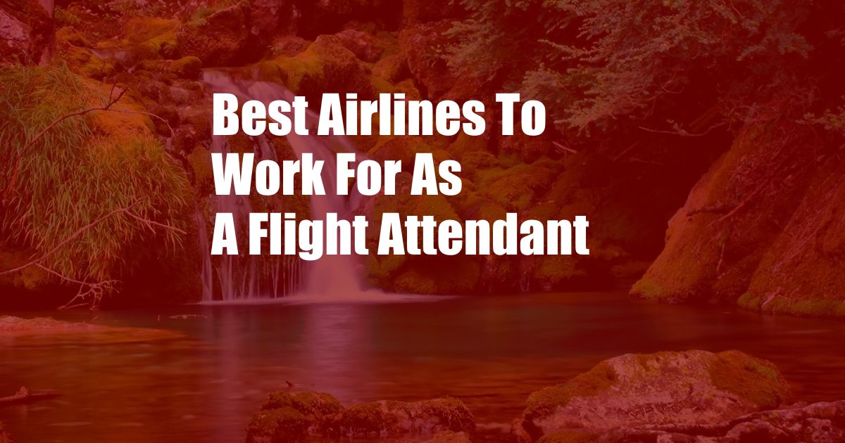 Best Airlines To Work For As A Flight Attendant