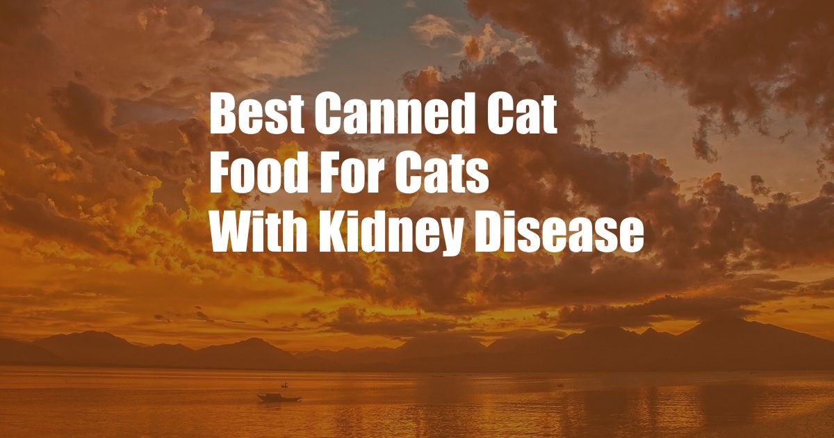 Best Canned Cat Food For Cats With Kidney Disease