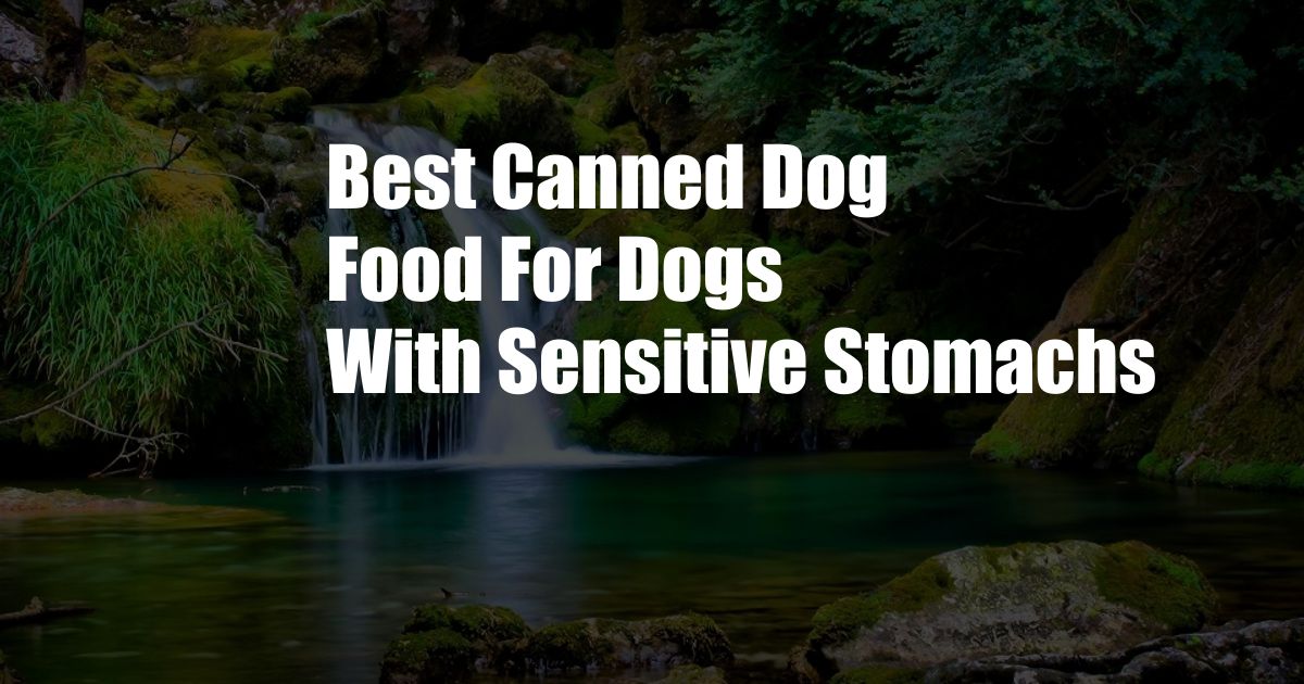 Best Canned Dog Food For Dogs With Sensitive Stomachs