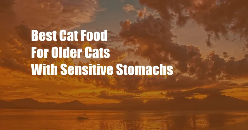 Best Cat Food For Older Cats With Sensitive Stomachs